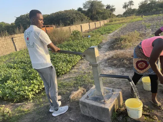 Clearing and harvesting on a farm, The Gambia, 2022