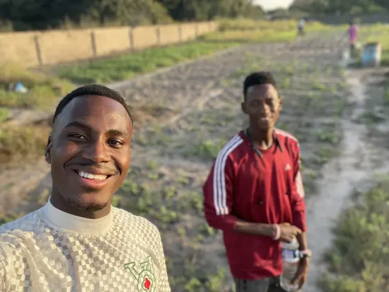 Clearing and harvesting on a farm, The Gambia, 2022