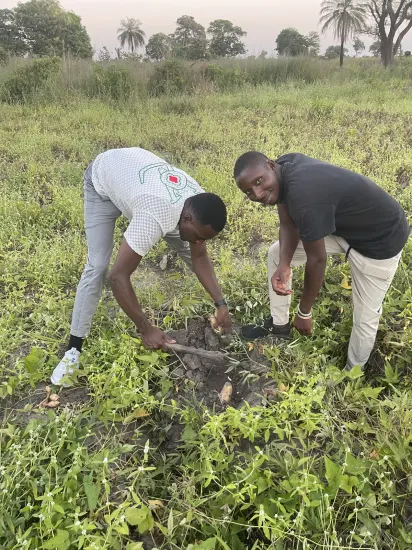 Clearing and harvesting on a farm, The Gambia, 2022
