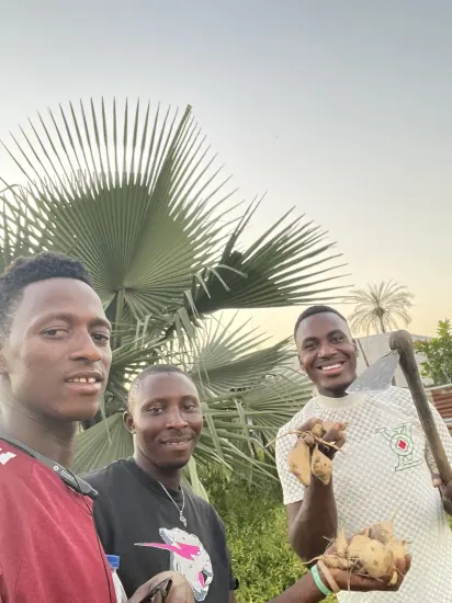 Clearing and harvesting on a farm, The Gambia, 2022