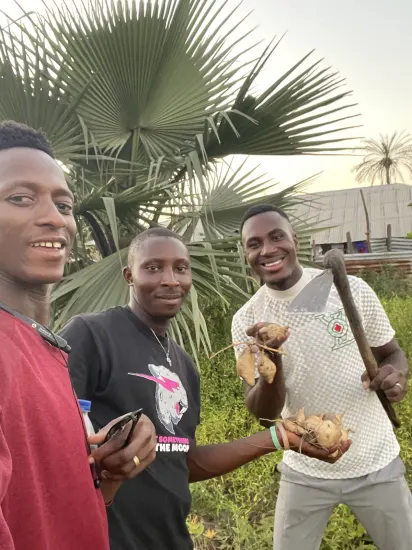 Clearing and harvesting on a farm, The Gambia, 2022