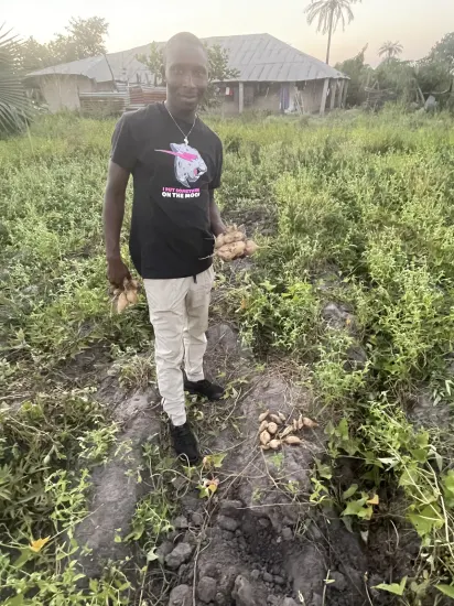 Clearing and harvesting on a farm, The Gambia, 2022